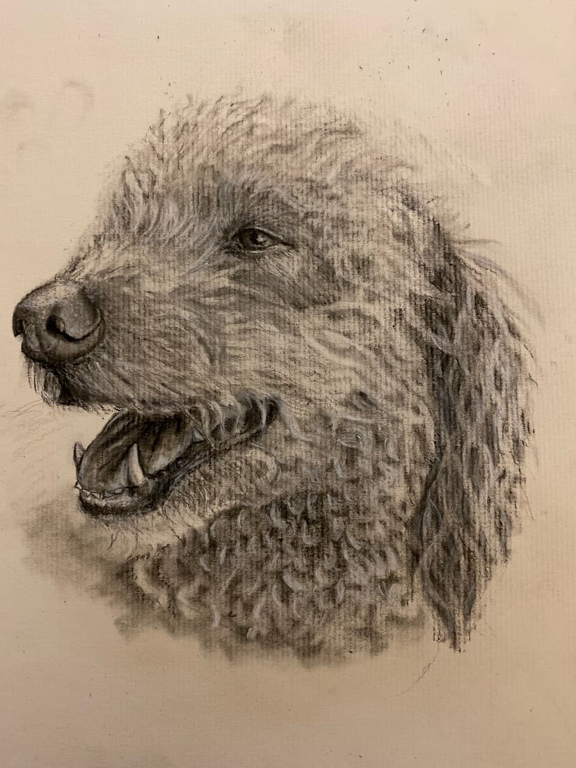 Max